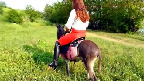 pornos reiten|Riding 564,773 videos